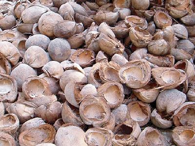 生质能燃料:椰子壳